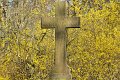 Fruehling2012   055